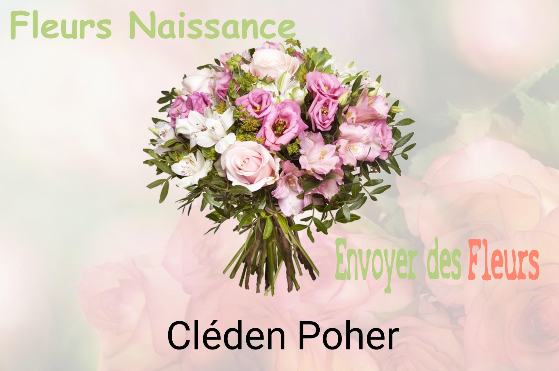 Bouquet de fleurs de naissance livré à Cléden-Poher